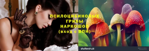 соль ск Нефтегорск