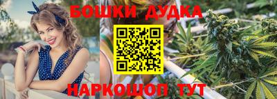 гидра Берёзовский