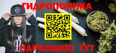 индика Бийск