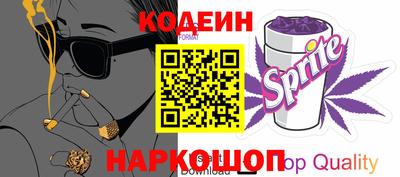 индика Бийск