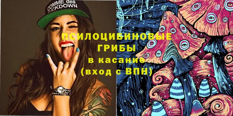 Псилоцибиновые грибы Cubensis  Сертолово 