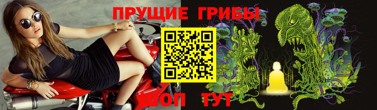Галлюциногенные грибы Cubensis Сертолово