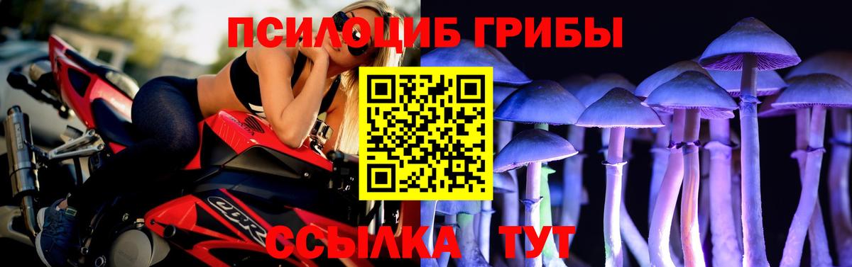 Галлюциногенные грибы мухоморы  Вход с VPN  Псилоцибиновые грибы MAGIC MUSHROOMS  Сертолово 